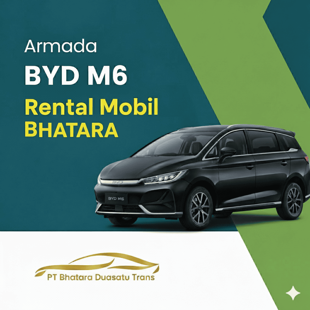 BYD M6